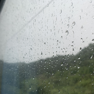 t66y技术讨论区2025 github
