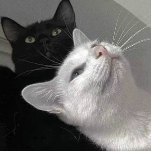 被禽受继夫肉上瘾
