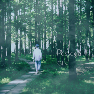 日韩精品一级毛片免费
