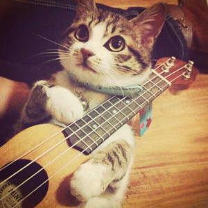 国产性色强伦免费视频
