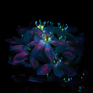 男同与动人物ZOZ0
